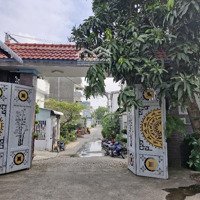 Nhà Vườn Nghĩ Dưỡng Ngay Trung Tâm Phú Hữu Q9 Thủ Đức, 1000M2, Giá Chỉ 15 Tỷ Tl.