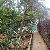 Nhà Vườn Nghỉ Dưỡng 2 Tầng Full Nội Thất, Khuôn Viên 1224M2, Ao Cá, Bể Bơi, Chỉ Việc Xách Vali Về Ở