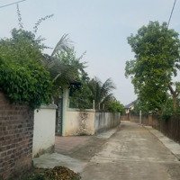 Nhà Vườn Nghỉ Dưỡng 2 Tầng Full Nội Thất, Khuôn Viên 1224M2, Ao Cá, Bể Bơi, Chỉ Việc Xách Vali Về Ở