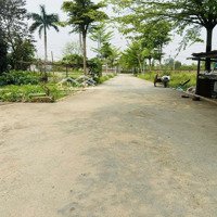 Bán 120M2 Mặt Đường Xã Phú Mãn, Huyện Quốc Oai Tp. Hà Nội.