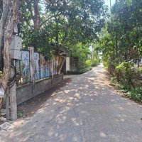 Đất Kho Xưởng Biệt Thự Vườn Giáp Vành Đai 3, Xã An Sơn, Tp. Thuận An