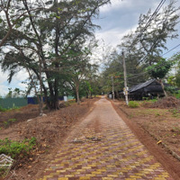 Bán Đất View Biển Đối Diện Khu Dự Án Vin Cần Giờ