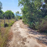 Bán Đất Pk8 Cạnh Dự Án Khu Đô Thị Sân Bay Vân Phong - Khánh Hoà