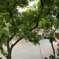 5 Tầng Hiếm Mặt Tiền Kinh Doanh Nguyễn Thái Bình Q1, Đường 2 Chiều Vỉa Hè, 65M2 X 4M Mt, Chỉ 47.5 T