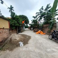 Bán Đất Tại Xã Tân Minh, Sóc Sơn, Hà Nội, 2 Tỷ, 85M2