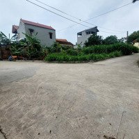 Bán Đất Tại Xã Tân Minh, Sóc Sơn, Hà Nội, 2 Tỷ, 85M2