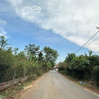 Cắt Lỗ Bán Gấpmặt Tiềnđ. Tam Thôn Hiệp, Gần Chợ Tam Thôn Hiệp, Cần Giờ, 900 Triệu/120M2, Shr.