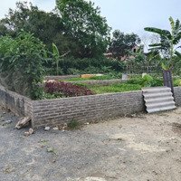 Bán Đất Trung Tâm - Nghĩa Trụ Văn Lâm - Hưng Yên 100M Ra Khu Đô Thị Vin Ocean Park 2&3 Ô Tô Tránh