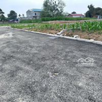 Chủ Cắt Lỗ Vớt Cọc Nhờ Ae Kết Lối Bán Lô Đất 159M