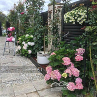 Bán Biệt Thự Hiện Đạimặt Tiềnkhu Compound Lương Định Của, Hồ Bơi Vô Cực, Quận 2Diện Tích15X29M, Giá Bán 67 Tỷ Tl