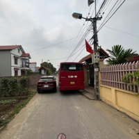 Trục Chính Đan Tảo Tân Minh Sóc Sơn