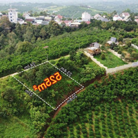 Đất Đẹp View Núi Đại Bình, Gần Trung Tâm Bảo Lộc Giá Rẻ, 525M2 (24X27) Chỉ 1.4 Tỷ Còn Thương Lượng