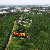 Đất Đẹp View Núi Đại Bình, Gần Trung Tâm Bảo Lộc Giá Rẻ, 525M2 (24X27) Chỉ 1.4 Tỷ Còn Thương Lượng