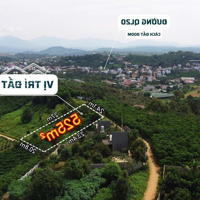 Đất Đẹp View Núi Đại Bình, Gần Trung Tâm Bảo Lộc Giá Rẻ, 525M2 (24X27) Chỉ 1.4 Tỷ Còn Thương Lượng