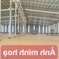 X321
Cho Thuê Xưởng 4.228M2 Trong Kcn Trảng Bom, Đồng Nai - Giá 4,8Usd/M2 -Diện Tích Đất: 9500M2