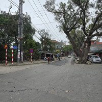 Bán Nhà Riêng Tại Đường Thúy Lĩnh, Hoàng Mai, Hà Nội, Giá Cực Chất 11,8 Tỷ, 100M2