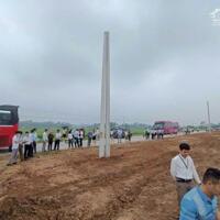 Cần bán 2 lô đất đấu giá full thổ cư 150m2 tại Tam Nông - Phú Thọ