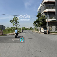 Lô Góc 122,6M2 Đất Đấu Giá Phường Cự Khối - Mặt Phố Hoa Động Đường Rộng 17M, Ngay Cạnh Trường Học