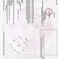 Bán Nhà Riêng Tại 101 Láng Hạ, 11,7 Tỷ, 33M2, 3 Phòng Ngủ 3 Vệ Sinh 5 Tầng, Pháp Lý Đầy Đủ