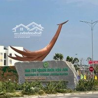 Cực Hiếm Lô Đất 58M2- Cửu Việt- Trâu Quỳ, Oto 7 Chỗ Ngủ Trong Đất, Kinh Doanh, Hàng Xóm Vin Ocean