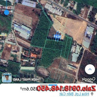 Đất Đẹp Giá Tốt Đầu Tư - Đất Đẹp Phường Hòa Lợi Bến Cát Đường 8M Thông Dân Cư Đông Hiện Hữu