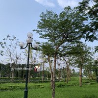 Bán Nhà Phân Lô Bát Khối Ô Tô Tránh Thang Máy Lô Góc Thang Máy Giá Nhỉnh 7 Tỷ