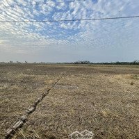 Đất Có 300M2 Thổ Cư, Gần Khu Công Nghiệp Trần Đề, Gần Siêu Cảng Nước Sâu Trần Đề, Sóc Trăng