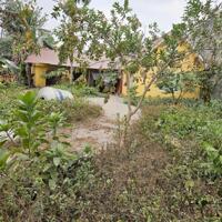 Bán đất ở cạnh Quốc Lộ 21 Sơn Tây 1685m2, MT 16m làm biệt thự sân vườn, giữ tiền