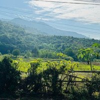 Cần Bán Đất Xã Cao Sơn Giá Rẻ Nhất Thị Trường