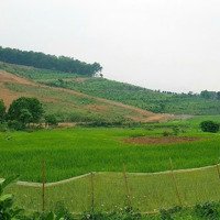 Cần Bán Đất Xã Cao Sơn Giá Rẻ Nhất Thị Trường