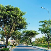 Top 3 Lô V1 108-144-180M2 Xây Cao Tầng - Giá Đầu Tư - Phân Khu Biệt Thự