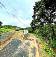 Kẹt Tiền Trả Nợ Ngân Hàng Nên Cần Bán Gấp Lô Đất 628M2 Hẻm Phan Huy Ích, Đại Lào, Bảo Lộc