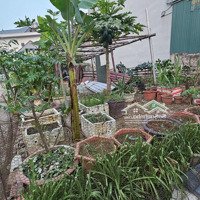 Lô Góc - Đường 4M Ngõ Thông Ô Tô 7 Chỗ Đỗ - Đất Vuông Đẹp - Vị Trí Đẹp - Cách Trục Chính Kinh Doanh