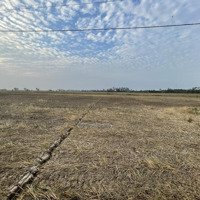 Đất Có 300M2 Thổ Cư, Gần Khu Công Nghiệp Trần Đề, Gần Siêu Cảng Nước Sâu Trần Đề, Sóc Trăng