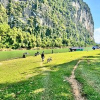 Bán Đất Glamping Tại Kim Bôi Hoà Bình Phú Thọ
