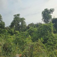 Mặt Tiền Võ Trần Chí, 6.136M2 Đất, Ngang 78M, Chỉ 40 Tỷ
