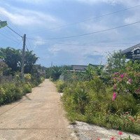 Bán Đất Đt 721, Đạ Kho, Đạ Tẻh, Lâm Đồng, Giá Ưu Đãi 550 Triệu, 315M2
