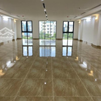 Anh Phong Bán Tòa Nhà Mặt Phố Vương Thừa Vũ, Thanh Xuân, Vị Trí Đẹp, Xây Mới, Thang Máy, Giá Tốt.