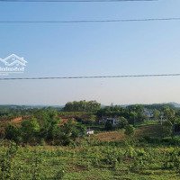 Chỉ 1Xxtr/M2 Lô Đất Nghỉ Dưỡng View Núi Ba Vì Tại Thôn Dy,Minh Quang, Ba Vì,Hn. Cách Tl415 Chỉ 200M