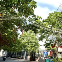 Bán Đất Tại Đường Lê Đức Thọ, Phường 15, Gò Vấp, Hồ Chí Minh, 9,5 Tỷ, 239 M2