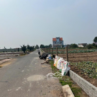 Bán Đất Tại Bãi Tắm Giao Phong Quất Lâm Nam Định