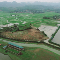 Bán Đất Chỉ 1,5 Triệu /M2 Sở Hữu 6200M2 Đất Tại Xã Phú Thành, Lạc Thuỷ,Hoà Bình View Đẹp