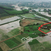 Bán Đất Chỉ 1,5 Triệu /M2 Sở Hữu 6200M2 Đất Tại Xã Phú Thành, Lạc Thuỷ,Hoà Bình View Đẹp