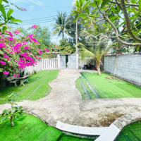 Siêu Rẻ Đẹp, Thoáng Mát, Nhà Vườn 800M2(10X80 Có 300 Thổ ), Nhuận Đức. Củ Chi, 4,5 Tỷ Thương Lượng