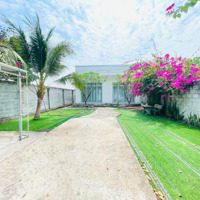 Siêu Rẻ Đẹp, Thoáng Mát, Nhà Vườn 800M2(10X80 Có 300 Thổ ), Nhuận Đức. Củ Chi, 4,5 Tỷ Thương Lượng