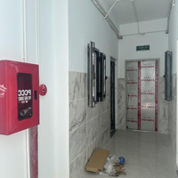 Toà Nhà Căn Hộ Dịch Vụ 31 Phòng-Đang Thu Nhập 200 Triệu/Tháng