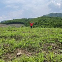 Bán Đất Chính Chủ Khánh Nam - Khánh Vĩnh