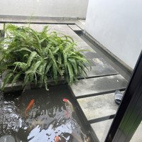 Cho Thuê Biệt Thự Rộng Đẹp, Phù Hợp Làm Trung Tâm Tiếng Anh, Trường Mầm Non.