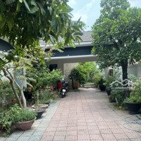Cho Thuê Biệt Thự Rộng Đẹp, Phù Hợp Làm Trung Tâm Tiếng Anh, Trường Mầm Non.