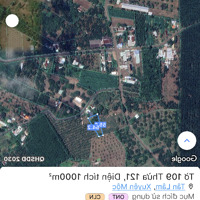 Đất Rẻ Tân Lâm - Xuyên Mộc - Brvt